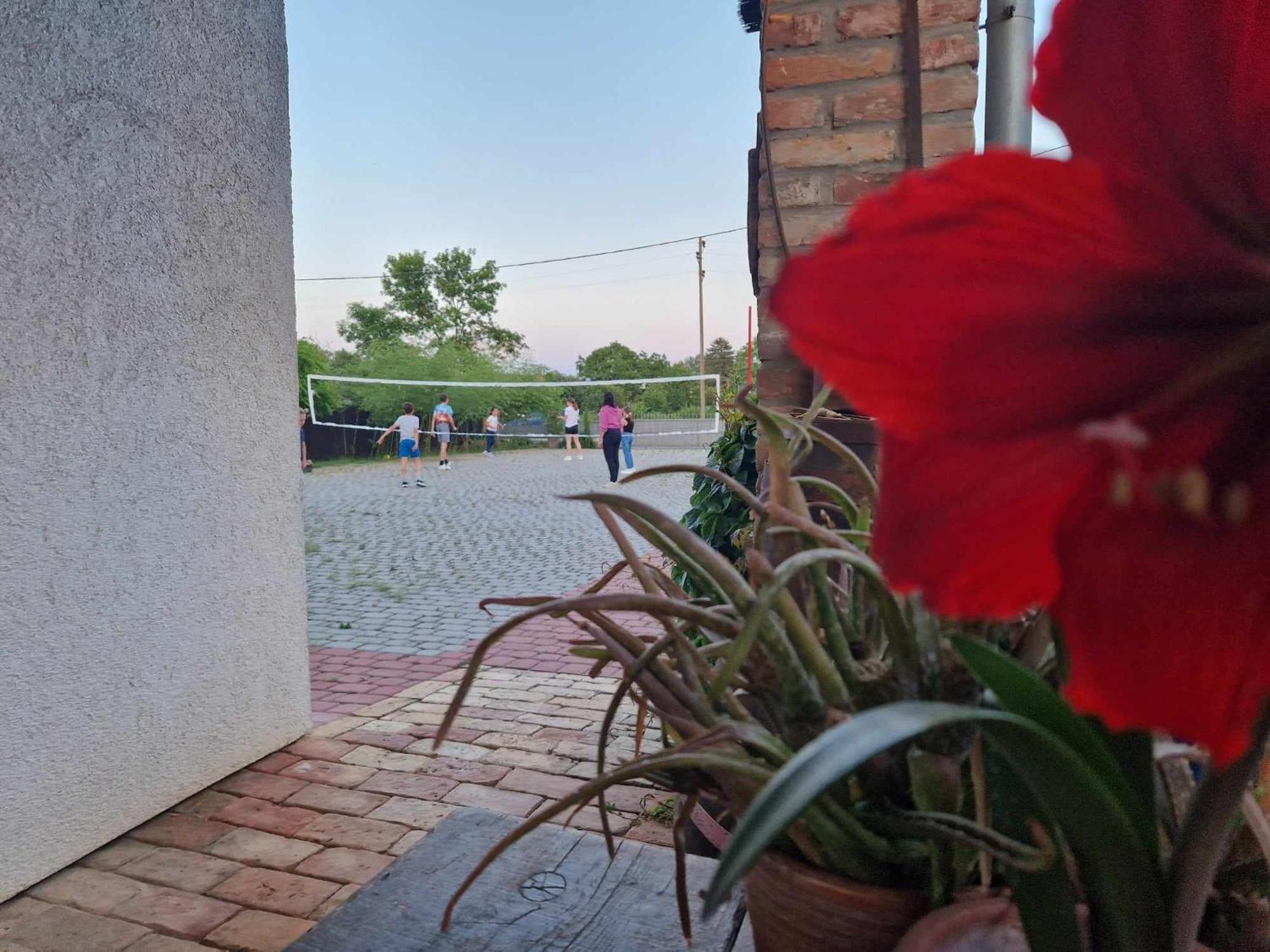 B&B Majhen Kopacevo Exterior photo